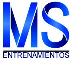 Logo MS